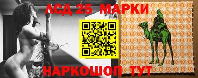 шишки Нальчик
