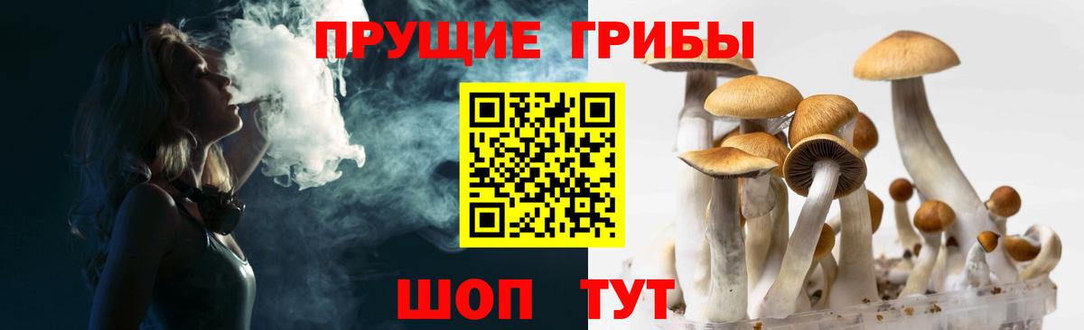 Галлюциногенные грибы MAGIC MUSHROOMS  Вход с VPN  Галлюциногенные грибы Psilocybine cubensis  Электросталь 